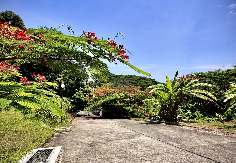 Taman Gertak Sanggul