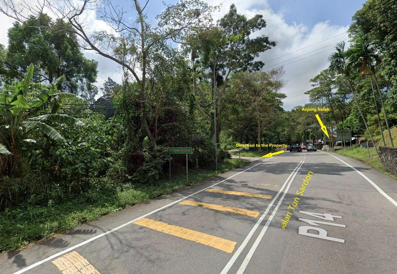 Balik Pulau Durian Orchard ( 3.727 Hectar)