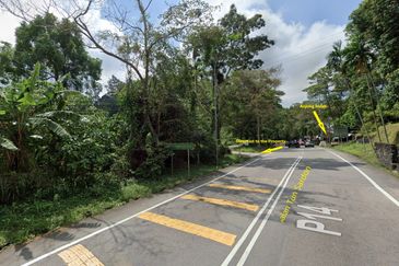 Balik Pulau Durian Orchard ( 3.727 Hectar)