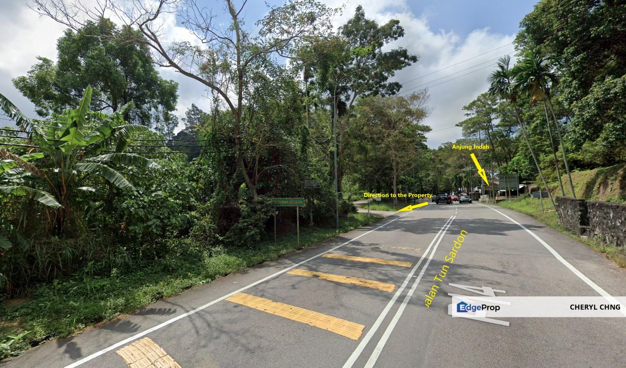 Balik Pulau Durian Orchard ( 3.727 Hectar), Penang, Balik Pulau