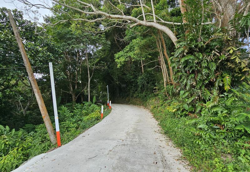 Balik Pulau Durian Orchard ( 3.727 Hectar)