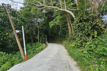 Balik Pulau Durian Orchard ( 3.727 Hectar)