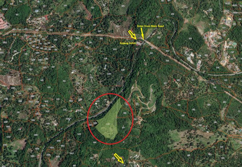 Balik Pulau Durian Orchard ( 3.727 Hectar)