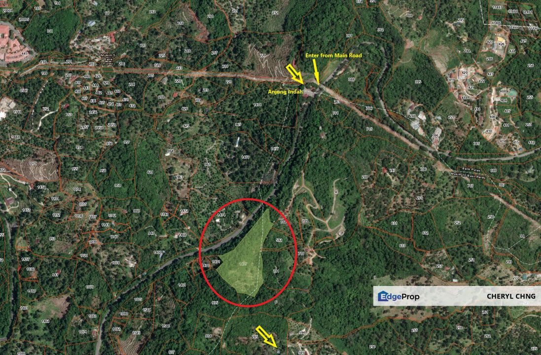 Balik Pulau Durian Orchard ( 3.727 Hectar), Penang, Balik Pulau