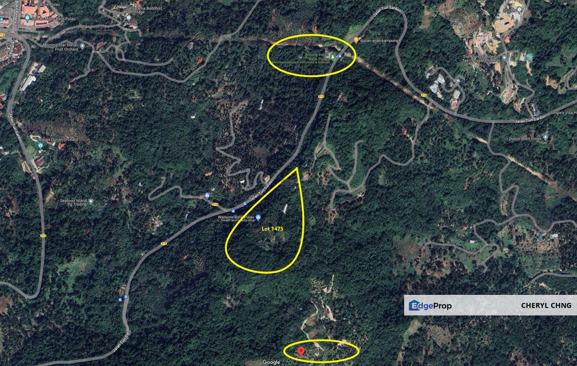 Balik Pulau Durian Orchard ( 3.727 Hectar), Penang, Balik Pulau