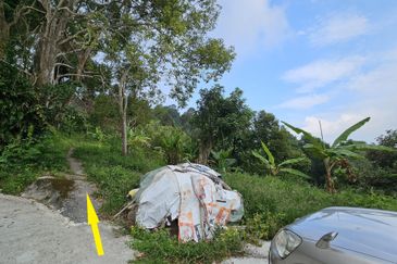 Balik Pulau Durian Orchard ( 3.727 Hectar)