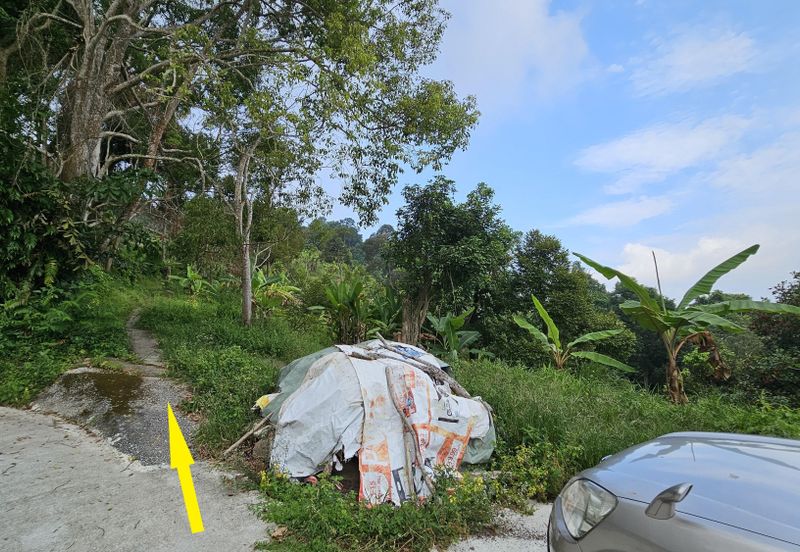 Balik Pulau Durian Orchard ( 3.727 Hectar)