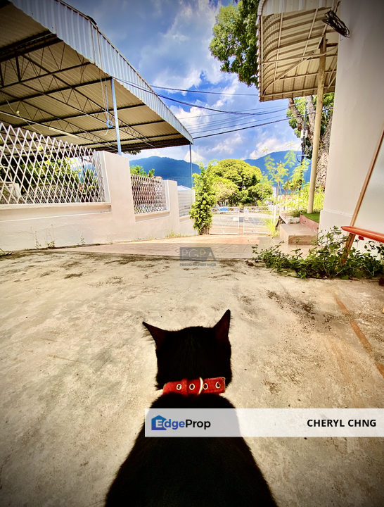 A Single-Storey Semi-D on Jalan Loh Poh Heng in Tanjung Bungah Hillside., Penang, Tanjung Bungah