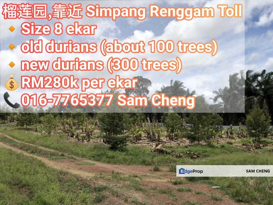 JB 3532 Simpang Renggam Durian Farm for Sale @RM2,240,000 By SAM CHENG | EdgeProp.my