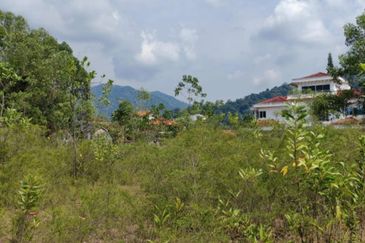 MERU VALLEY RESORT (GOLFVIEW TERRACE)