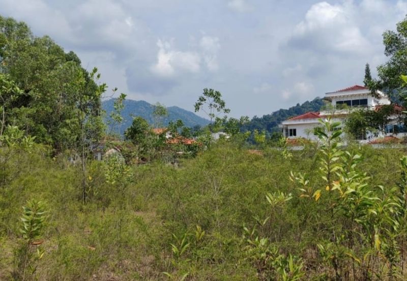 MERU VALLEY RESORT (GOLFVIEW TERRACE)