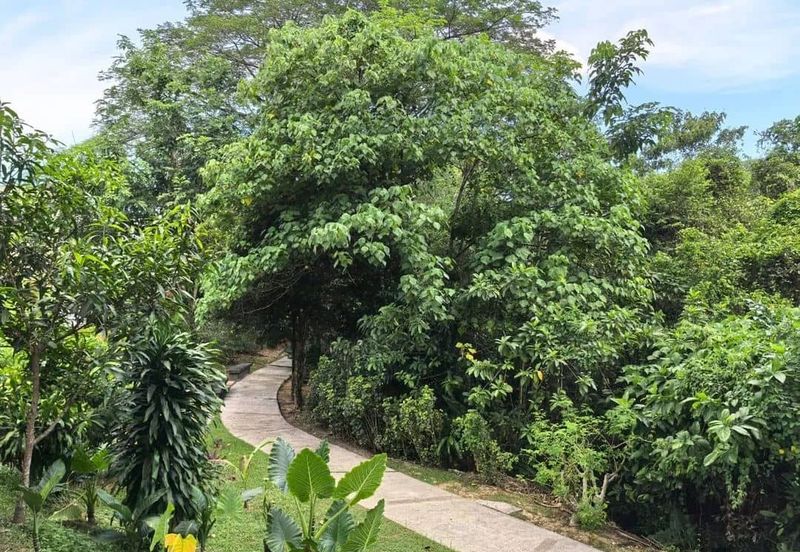 Meru Valley Golf Resort