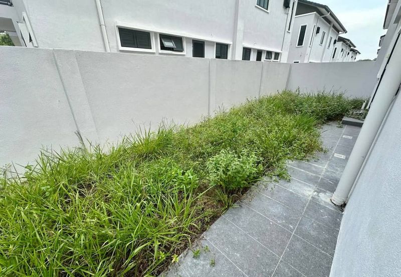 Seri Teratai @ Botani