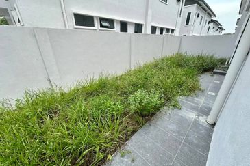 Seri Teratai @ Botani