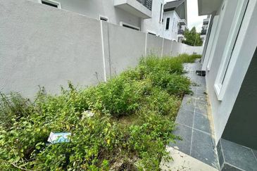 Seri Teratai @ Botani