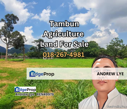 Tambun Agriculture Land For Sale , Perak, Ipoh