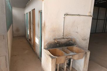 Kampung Pekan Matang