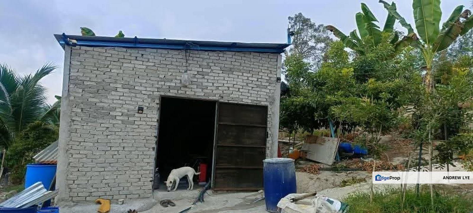 Lenggong Perak Durian Land For Sale , Perak, Hulu Perak