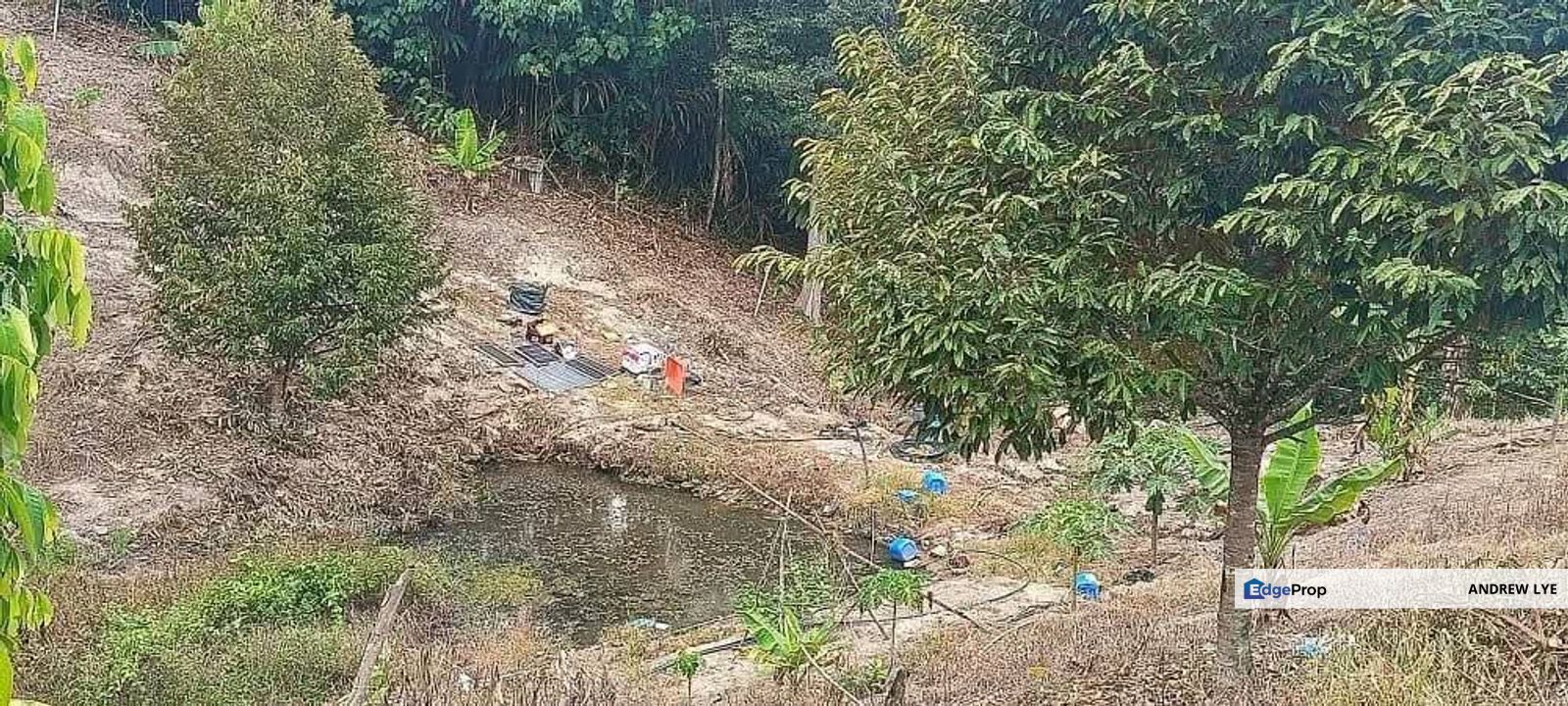 Lenggong Perak Durian Land For Sale , Perak, Hulu Perak