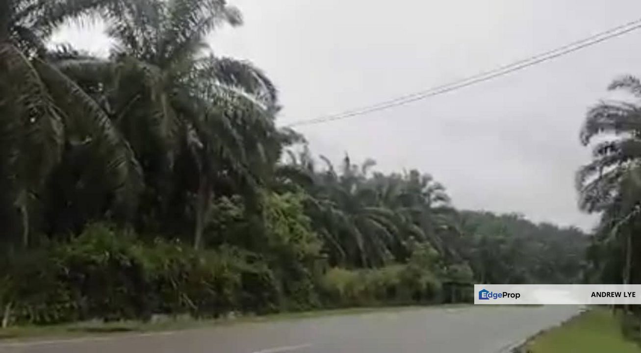 Sungai Siput Agriculture Land Palm Oil Plantation Facing Main Road Freehold For Sale, Perak, Kuala Kangsar