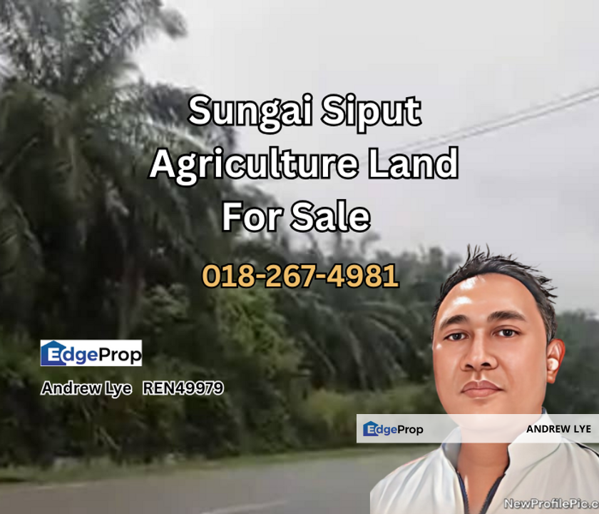 Sungai Siput Agriculture Land Palm Oil Plantation Facing Main Road Freehold For Sale, Perak, Kuala Kangsar