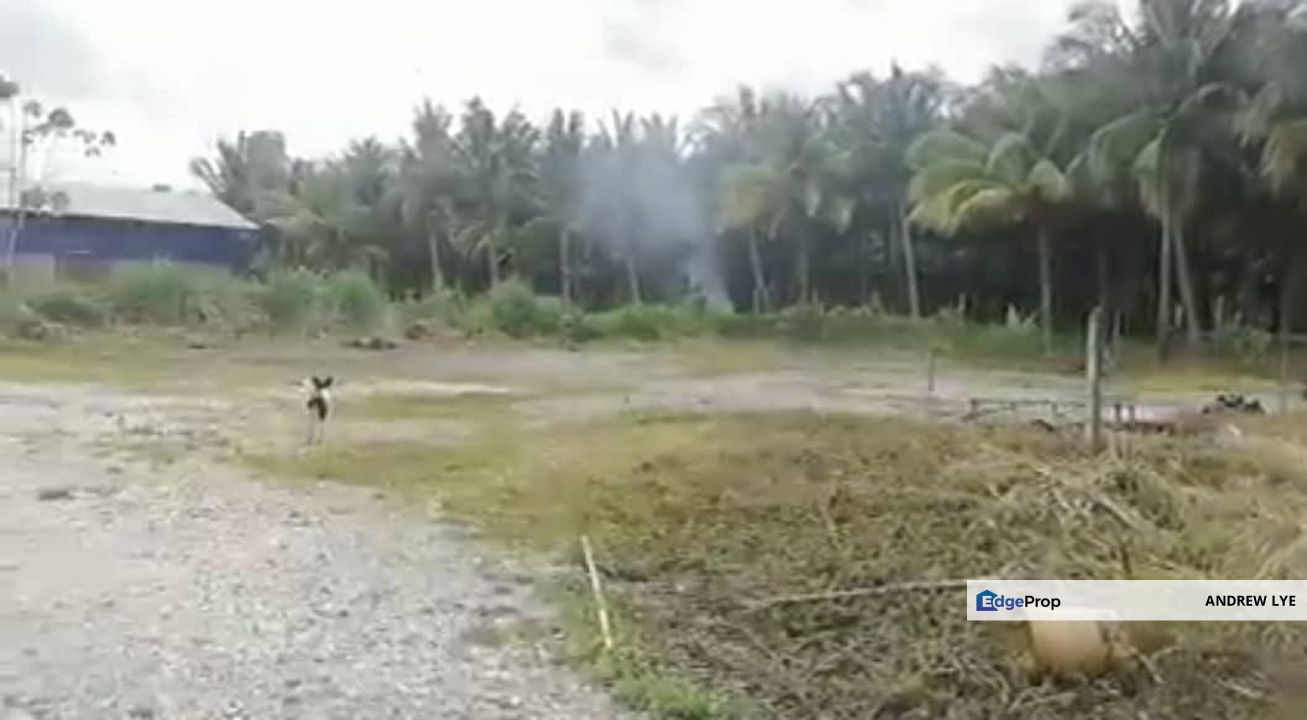 Tasek Ipoh Agriculture Land  Freehold 5 Acres For Sale , Perak, Ipoh