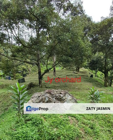 Tras Raub, Pahang. Tanah Kebun Durian 3.439 Acres For Sale, Pahang, Bentong