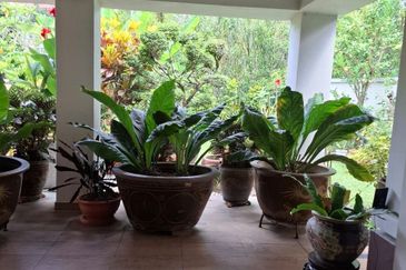 Bukit Tunku Kenny Hills, Double storey strata Bungalow 