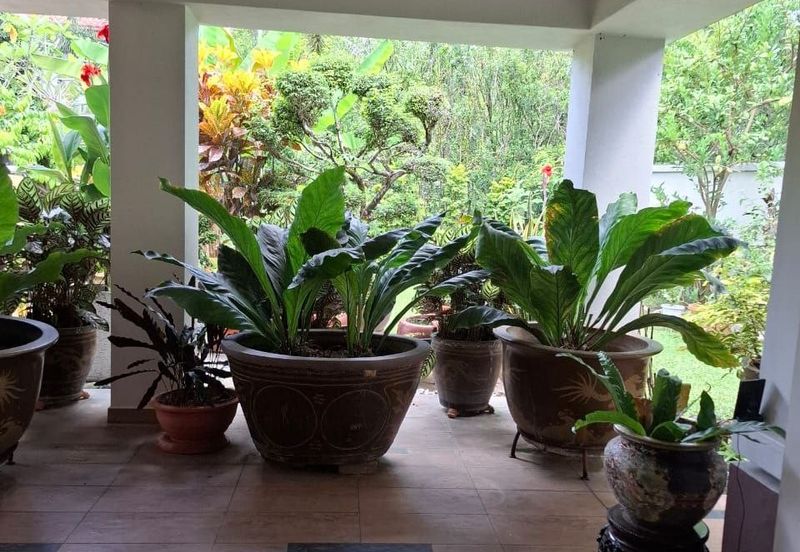 Bukit Tunku Kenny Hills, Double storey strata Bungalow 