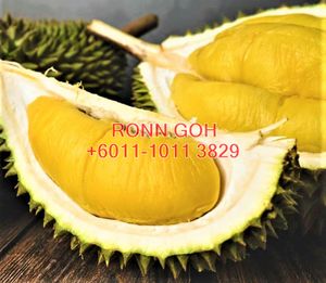 PAHANG - 8 ACRES HILL LAND FOR DURIAN ( FOR SALE) for Sale @RM2,962,080 ...