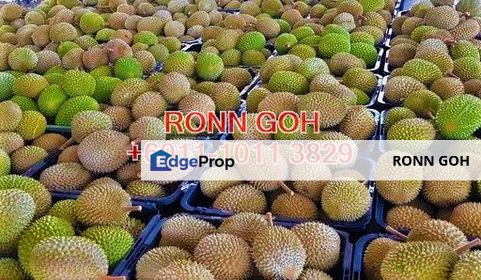 * KARAK : 2.2 ACRES AGRI & HILLY LAND (FOR SALE), Pahang, Karak