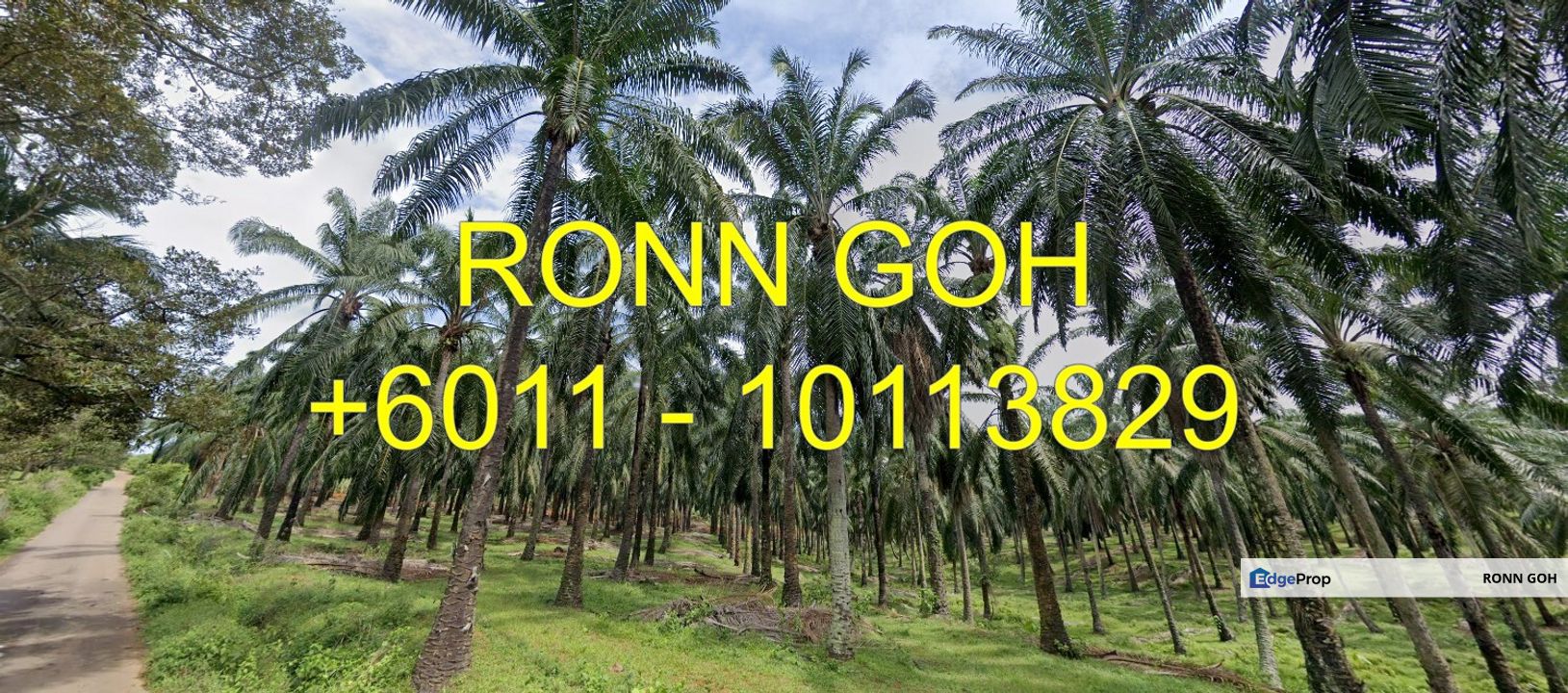 * NEGERI SEMBILAN ( PD ) : 780 ACRES FREEHOLD AGRI LAND ( FOR SALE : RM 9.00 PER SQFT ) / 森美兰 ( PD ) ：780 英畝永久发展土地（ 出售：RM 9.00 一平方尺 ）, Negeri Sembilan, Port Dickson