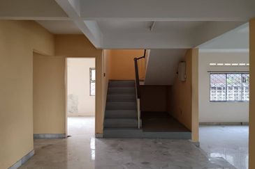 Stulang Laut / Darat