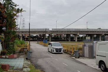 Stulang Laut / Darat