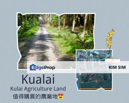 Kulai Ayer Bemban Agriculture Land For Sale, Taman Air Bemban, Sedenak, Johor, Kulai