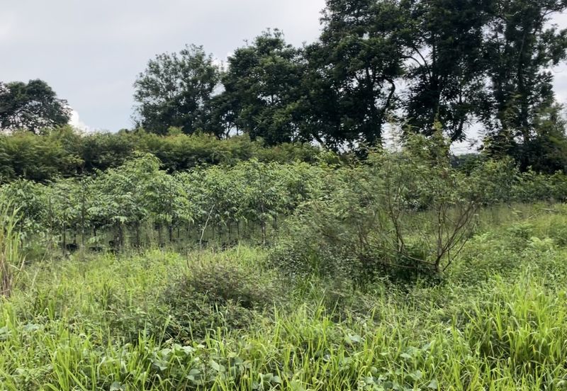 Jalan Kampung Maju Jaya