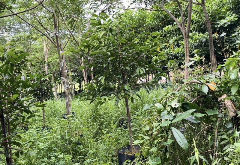 Jalan Kampung Maju Jaya