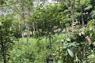 Jalan Kampung Maju Jaya