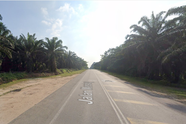 Agricultural Land @ Mersing for Sale