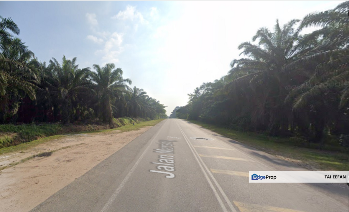 Agricultural Land @ Mersing for Sale, Johor, Mersing