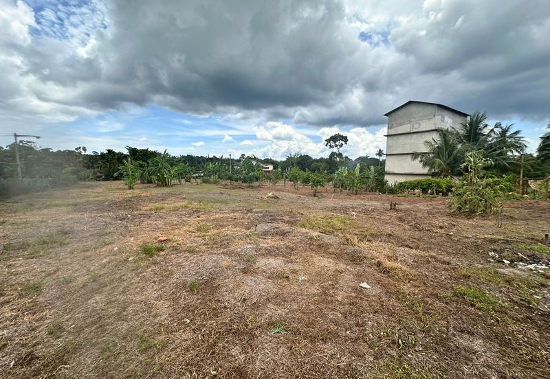 Jalan Buloh Kasap, Segamat