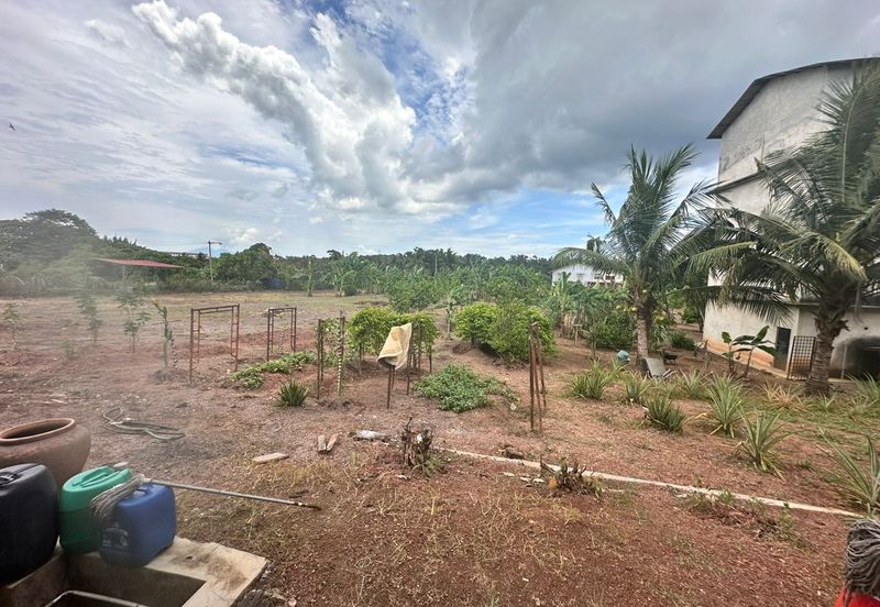 Jalan Buloh Kasap, Segamat