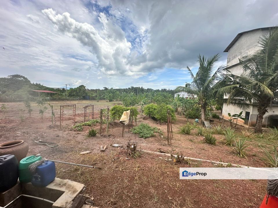 Jalan Buloh Kasap, Segamat, Johor, Segamat