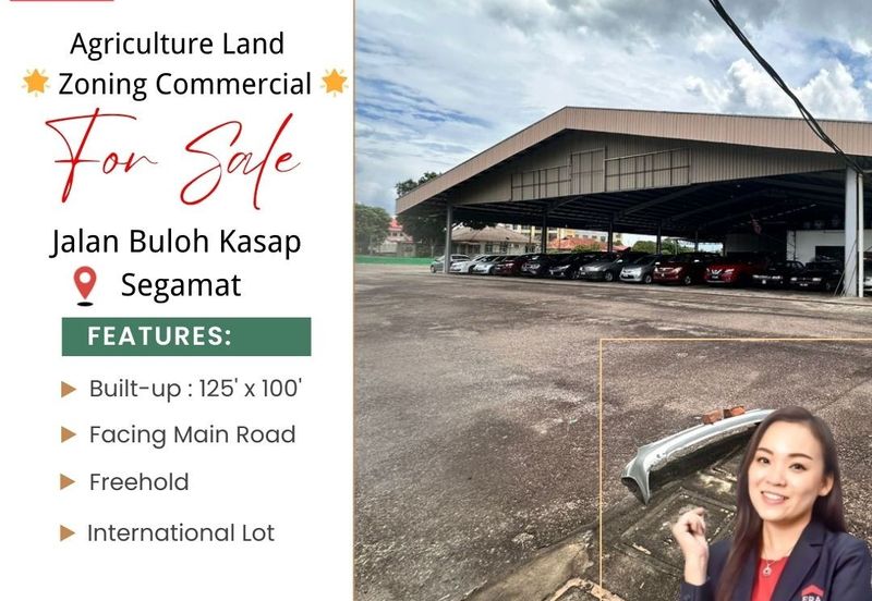 Jalan Buloh Kasap, Segamat