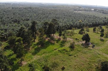 Development Land @ Yong Peng for Sale 