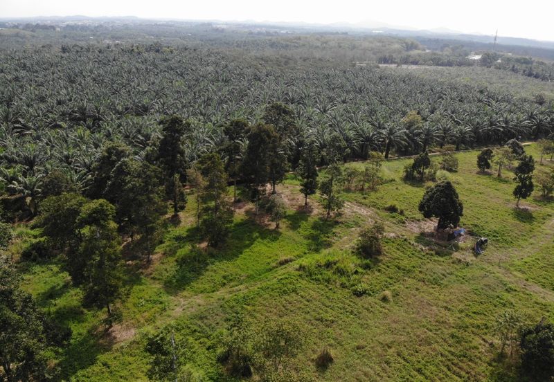 Development Land @ Yong Peng for Sale 