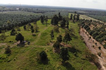 Development Land @ Yong Peng for Sale 