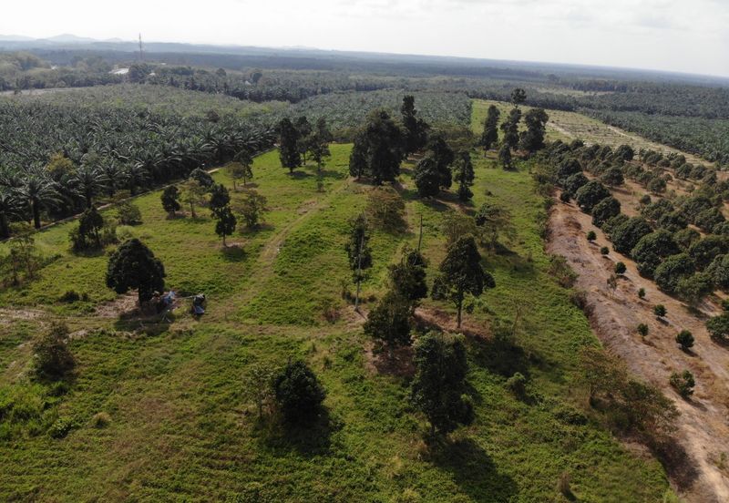 Development Land @ Yong Peng for Sale 