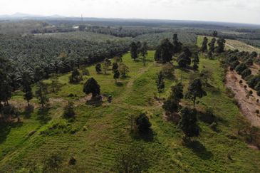 Development Land @ Yong Peng for Sale 