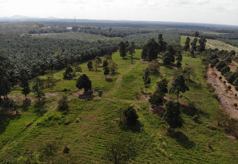 Development Land @ Yong Peng for Sale 